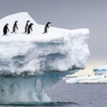 Antarctique