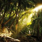 GUYANE