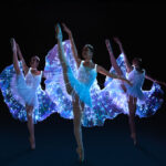 Ballet of Lights - La Belle au bois dormant